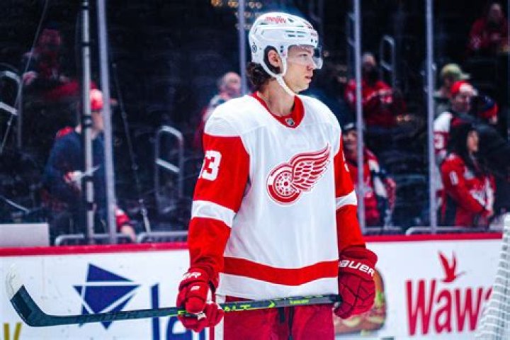 
Who Is Ice Hockey Defenseman Moritz Seider Dating In 2022? His Past Relationship Explained 